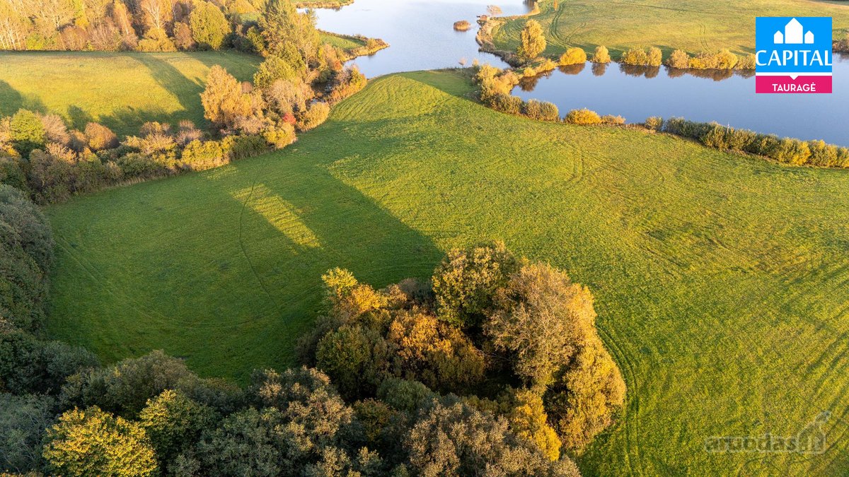 Parduodamas 11,2736 Ha Sklypas Burbiškių K. - nuotraukos Nr. 14