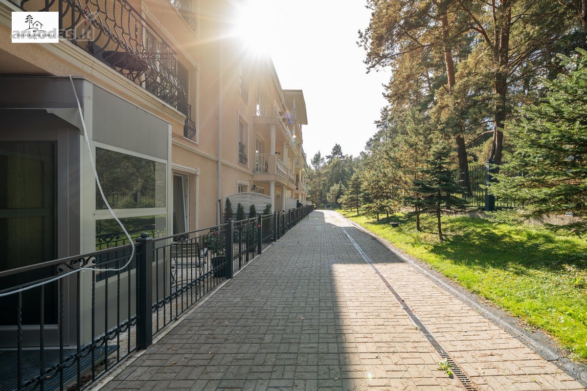 Pušys Už Balkono. Šilti Tonai Viduje. Erdvė - nuotraukos Nr. 32