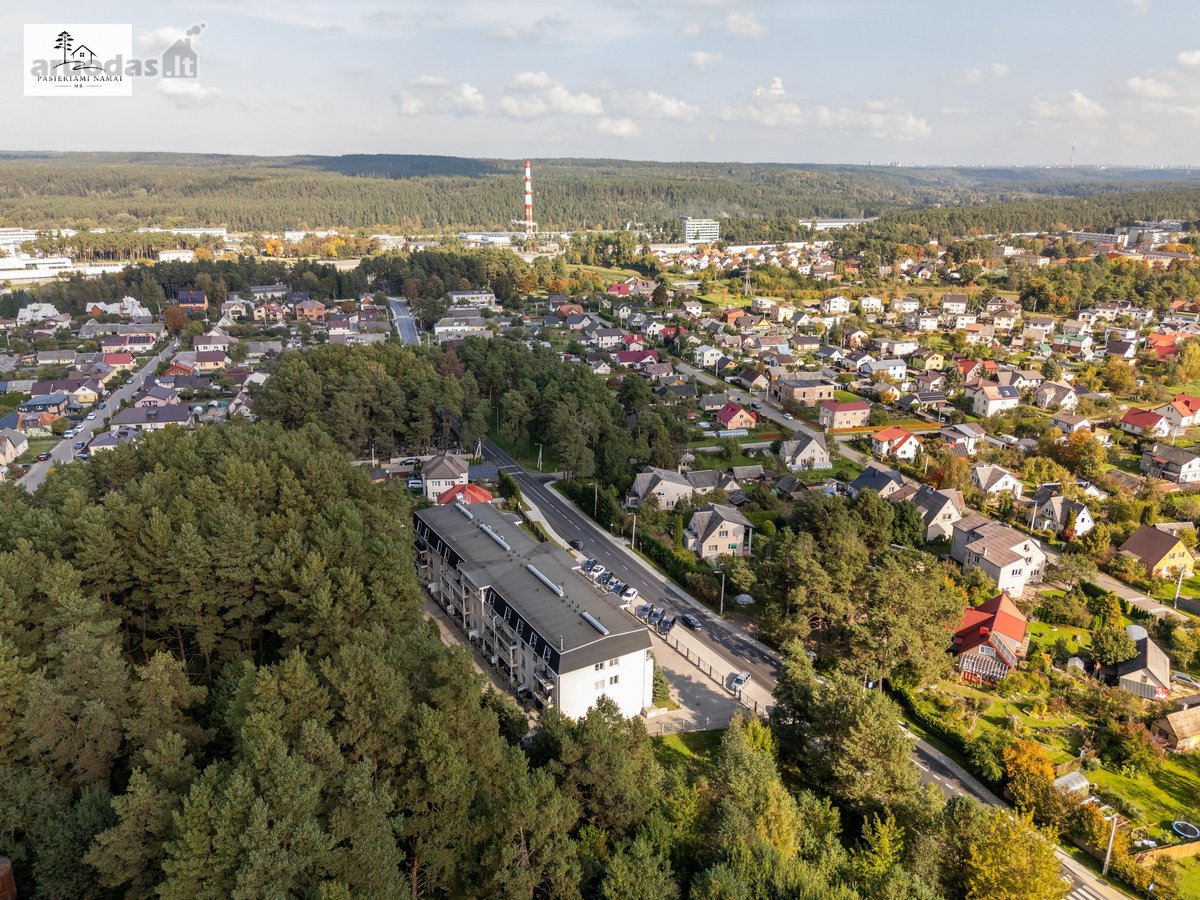 Pušys Už Balkono. Šilti Tonai Viduje. Erdvė - nuotraukos Nr. 37