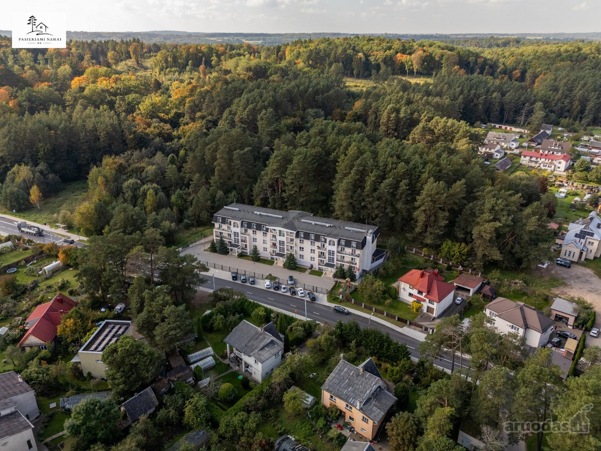 Pušys Už Balkono. Šilti Tonai Viduje. Erdvė - nuotraukos Nr. 41