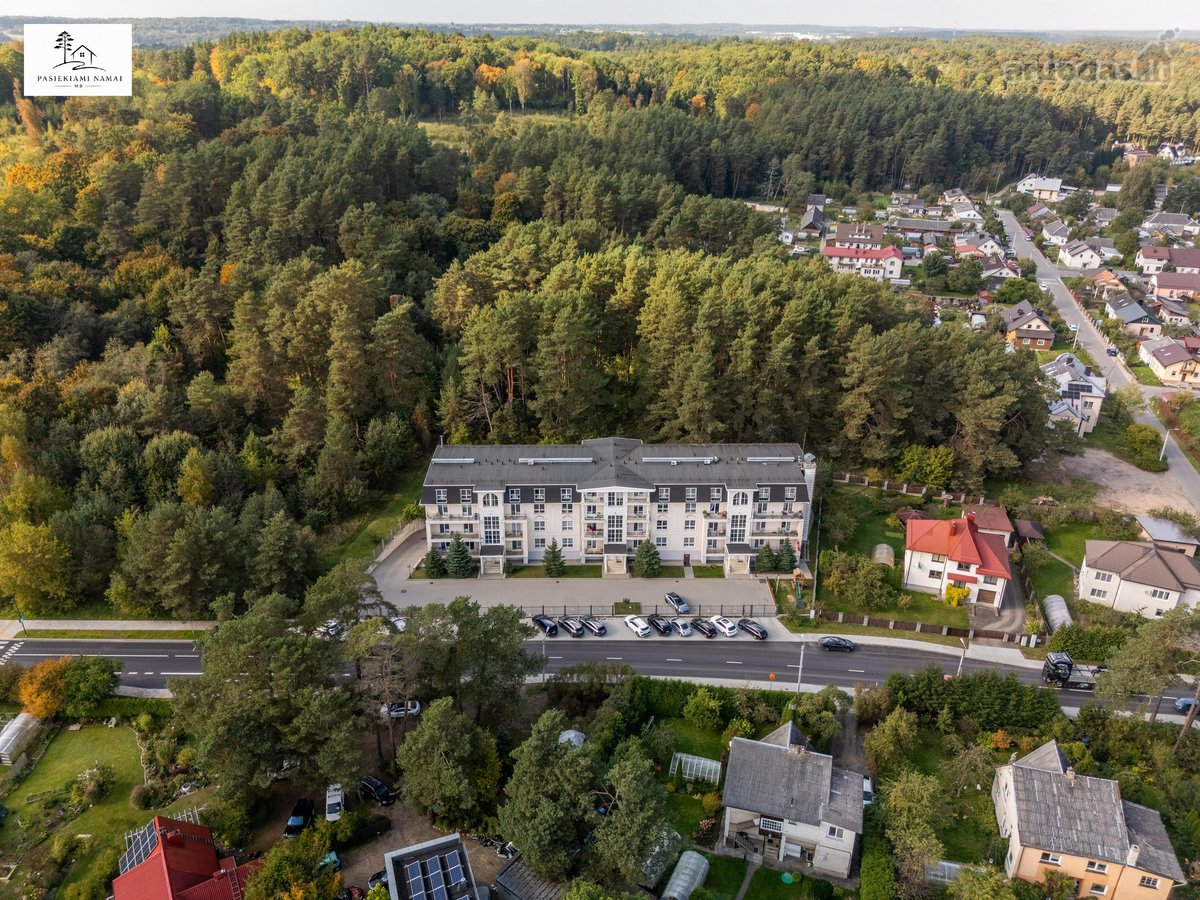 Pušys Už Balkono. Šilti Tonai Viduje. Erdvė - nuotraukos Nr. 45