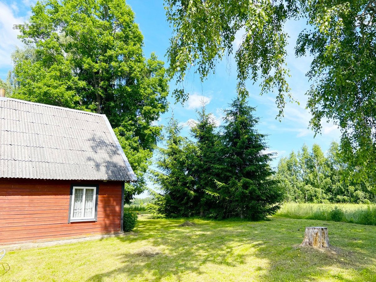 Ilgaamžių Medžių Apsupty Parduodamas - nuotraukos Nr. 7