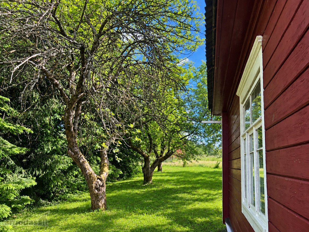 Tvarkinga, Jauki Sodyba Kalvų Ir Miškų - nuotraukos Nr. 7