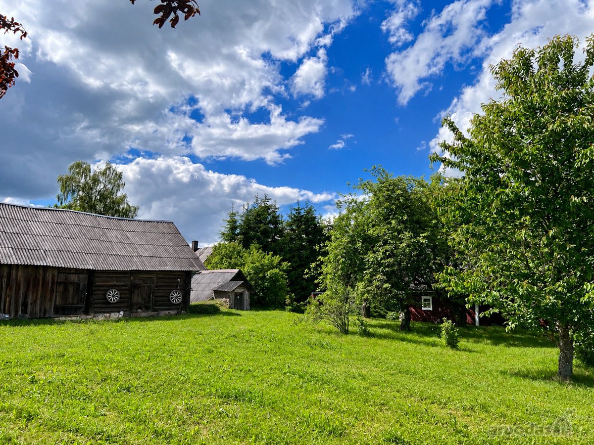 Tvarkinga, Jauki Sodyba Kalvų Ir Miškų - nuotraukos Nr. 21
