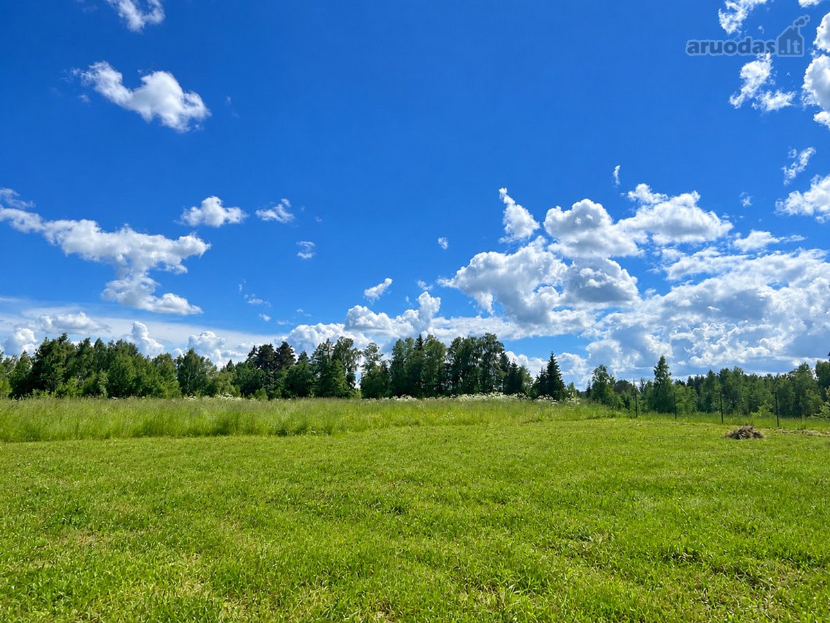 Tvarkinga, Jauki Sodyba Kalvų Ir Miškų - nuotraukos Nr. 25