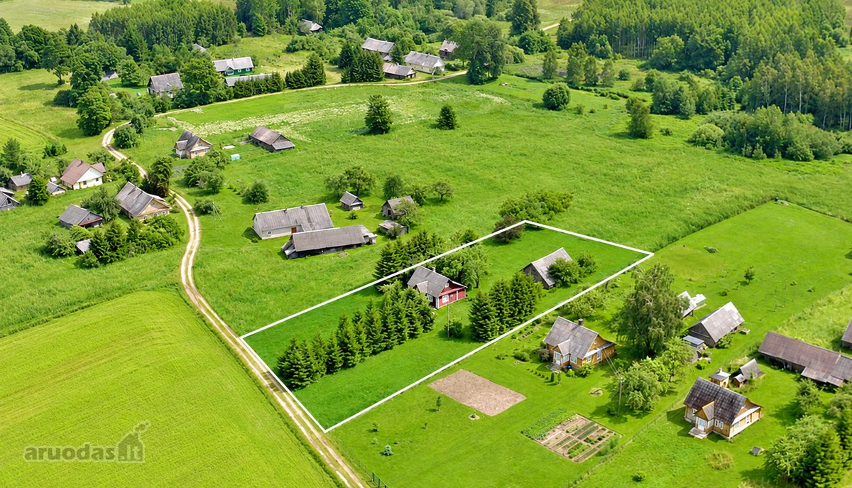 Tvarkinga, Jauki Sodyba Kalvų Ir Miškų - nuotraukos Nr. 27