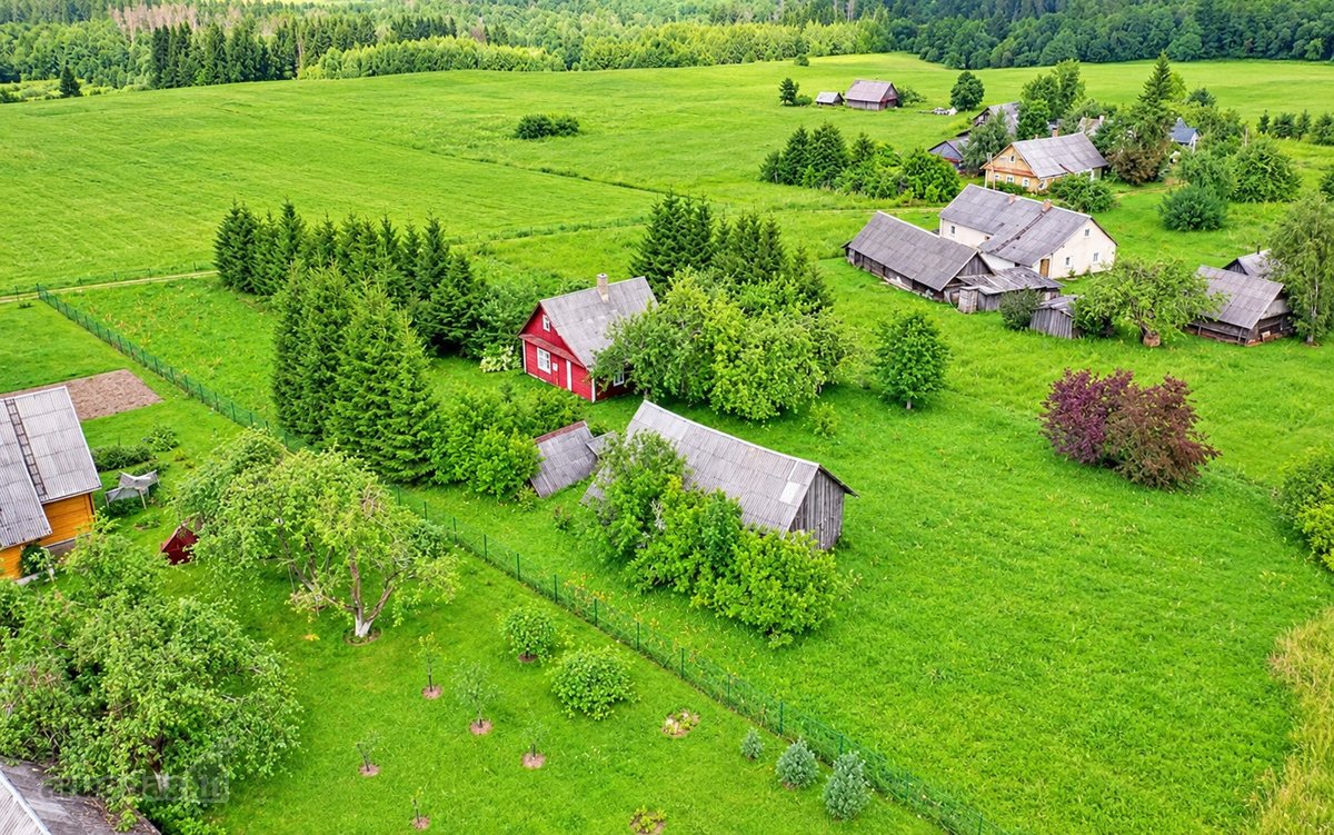 Tvarkinga, Jauki Sodyba Kalvų Ir Miškų - nuotraukos Nr. 28
