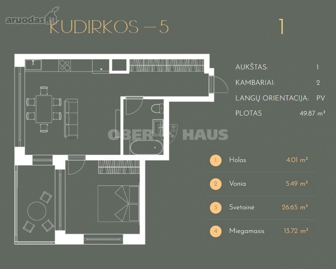 Gyventi ir poilsiauti Druskininkuose, reiškia - nuotraukos Nr. 9