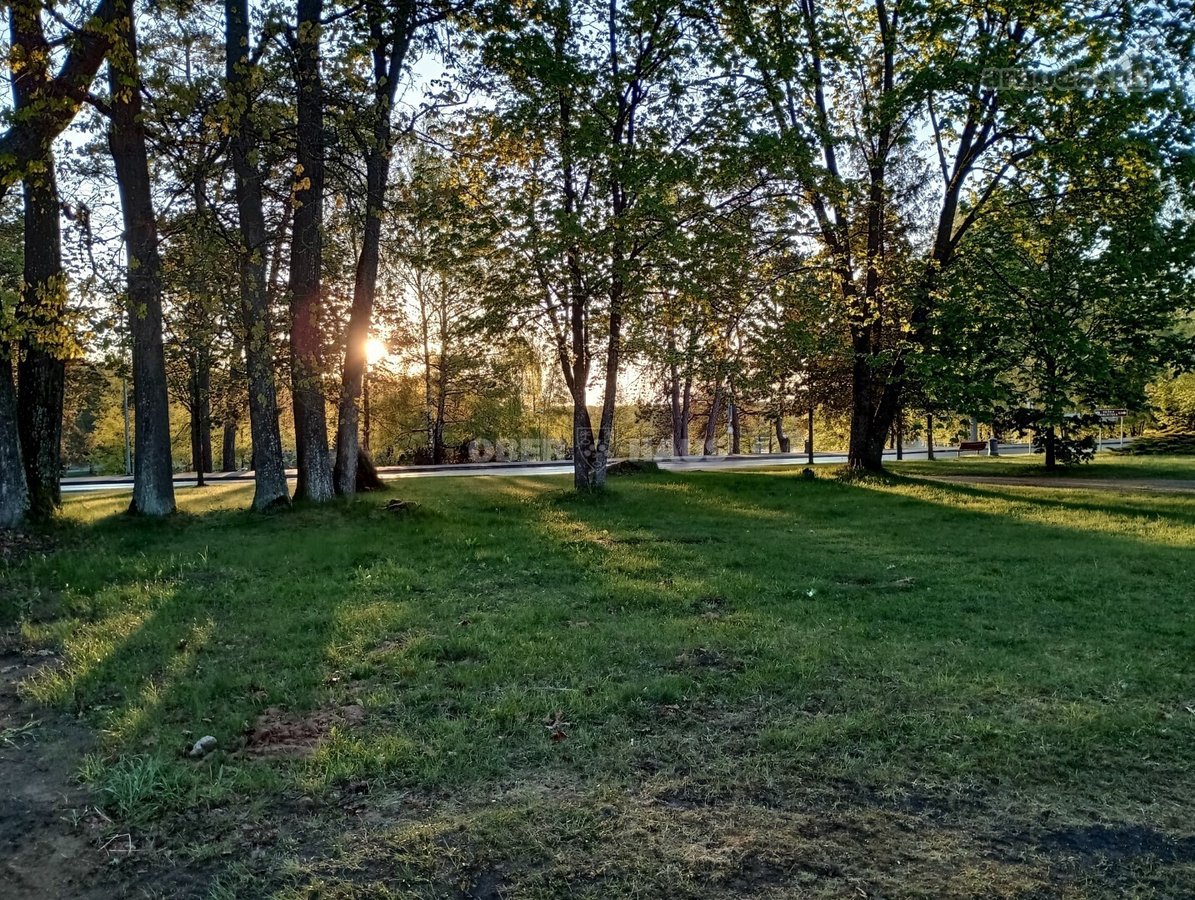 Gyventi ir poilsiauti Druskininkuose, reiškia - nuotraukos Nr. 28