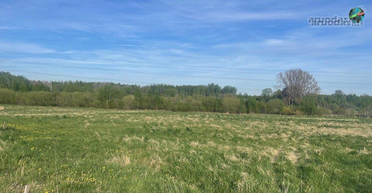 Parduodamas erdvus 30 arų namų valdos sklypas - nuotraukos Nr. 3