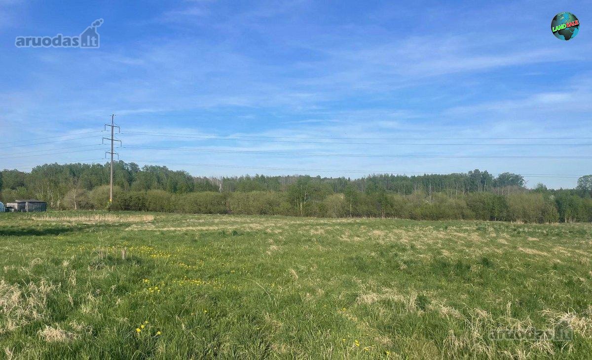 Parduodamas erdvus 30 arų namų valdos sklypas - nuotraukos Nr. 4