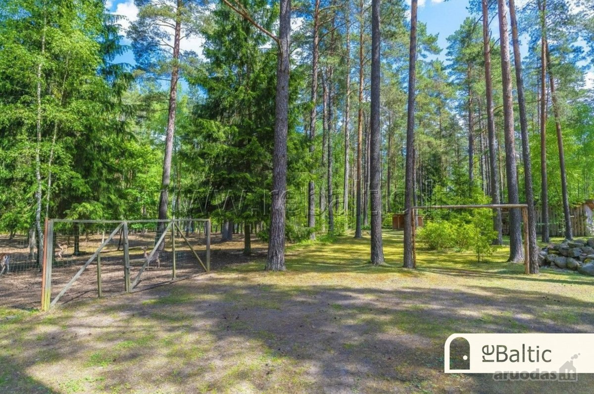 Parduodamas išskirtinis namas gamtos apsuptyje. - nuotraukos Nr. 8