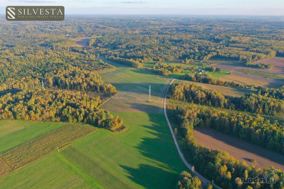Parduodama sklypo dalis, Žybartonys, 211.6 a - nuotraukos Nr. 6