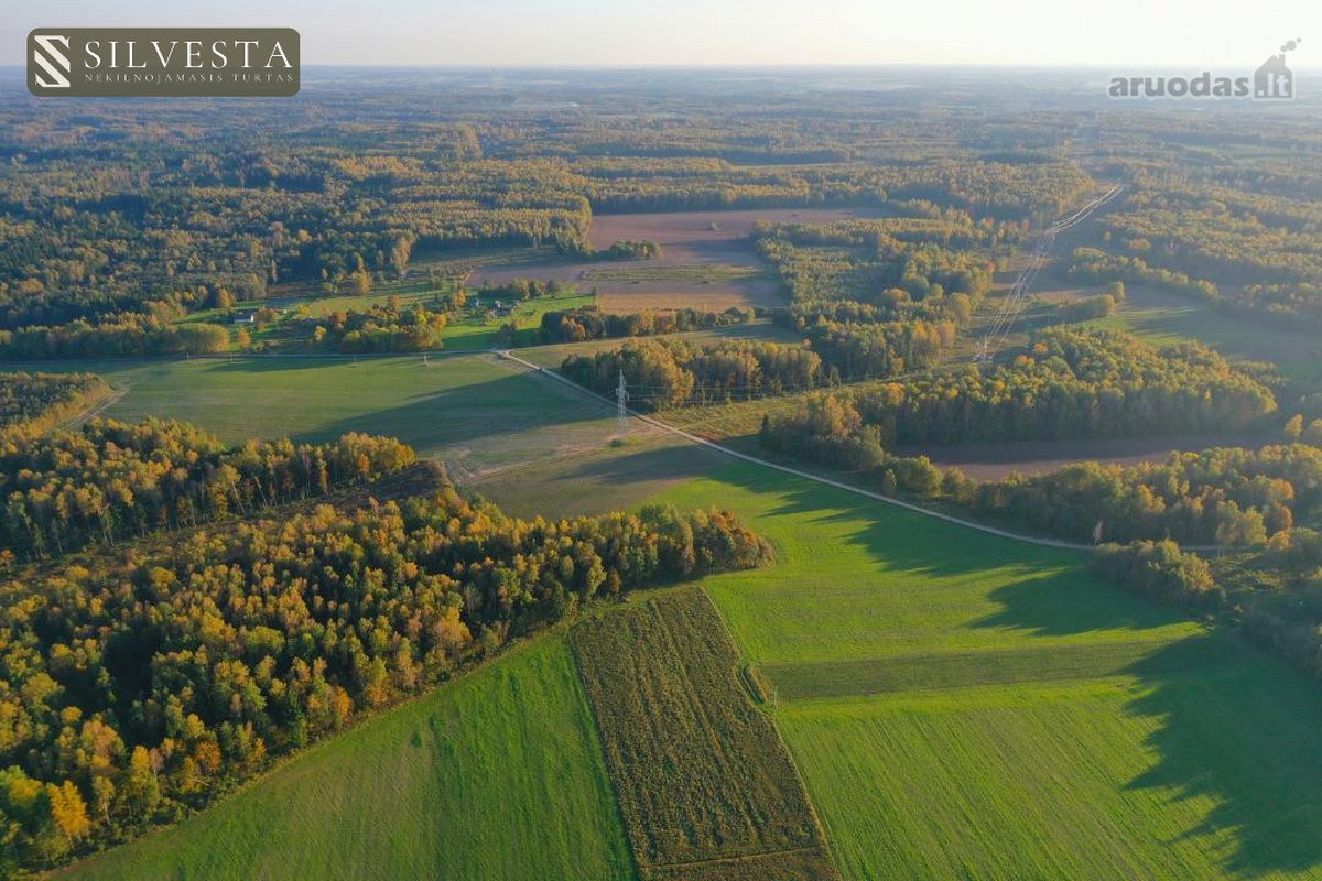 Parduodama sklypo dalis, Žybartonys, 211.6 a - nuotraukos Nr. 7