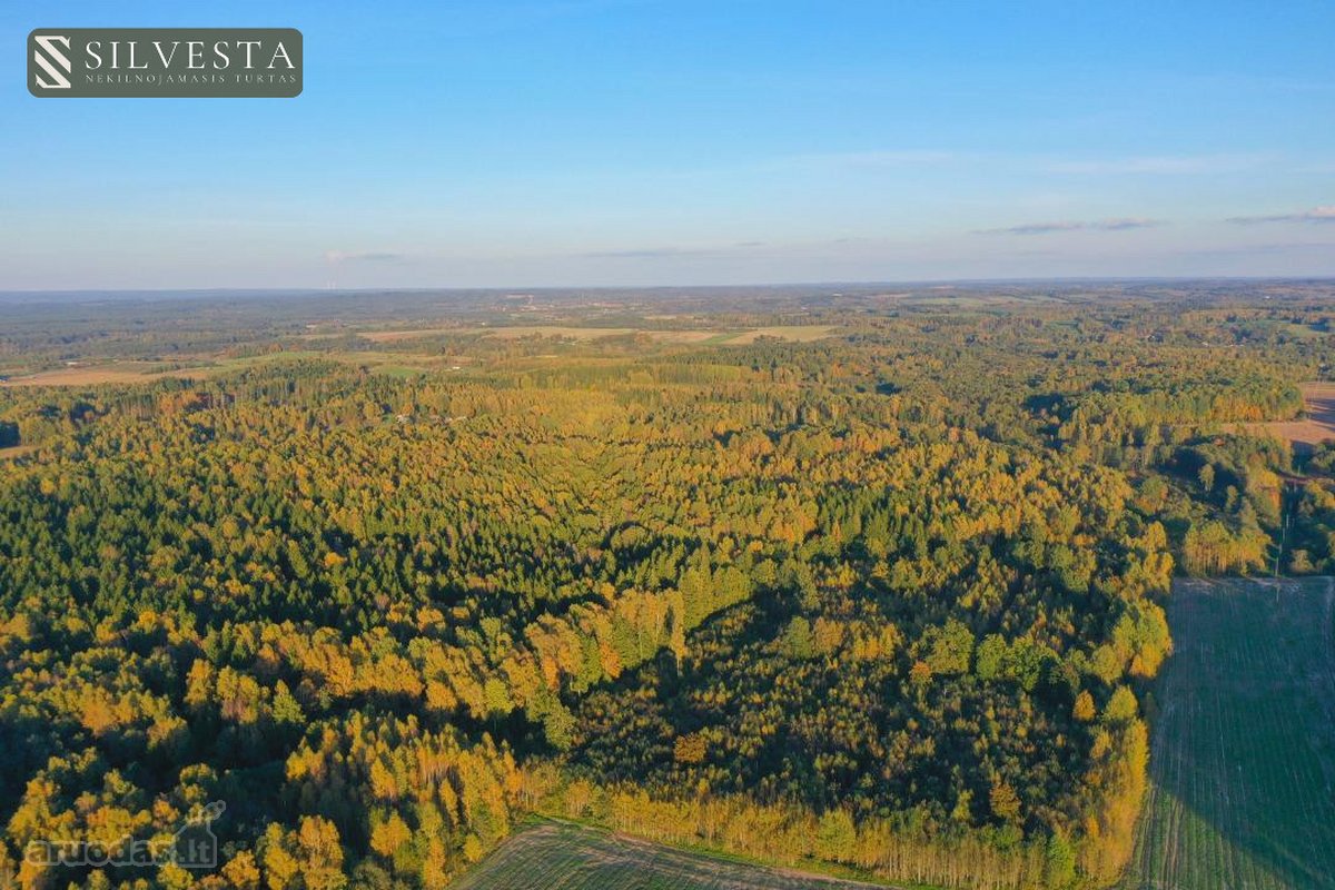 Parduodama sklypo dalis, Žybartonys, 211.6 a - nuotraukos Nr. 8