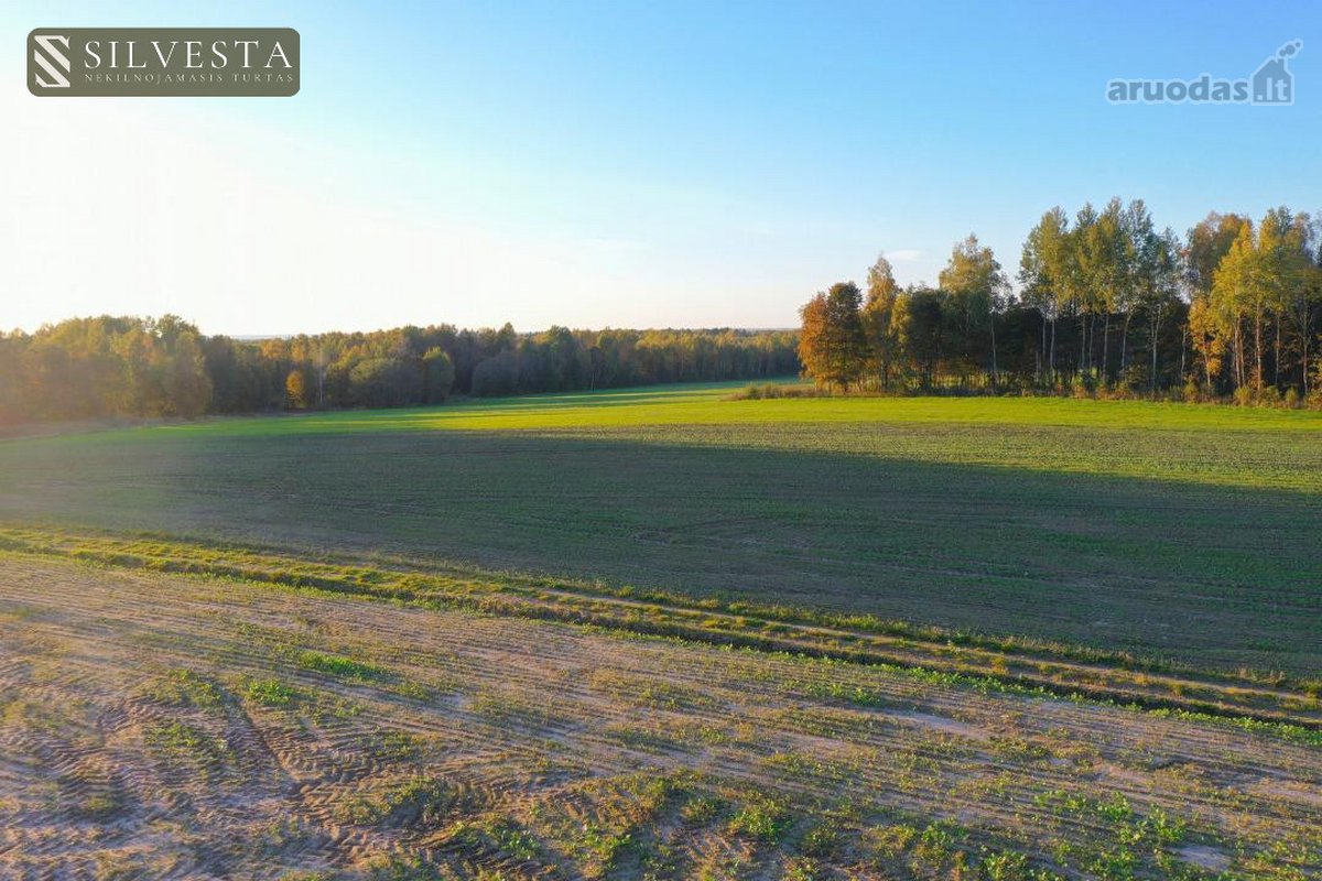 Parduodama sklypo dalis, Žybartonys, 211.6 a - nuotraukos Nr. 9