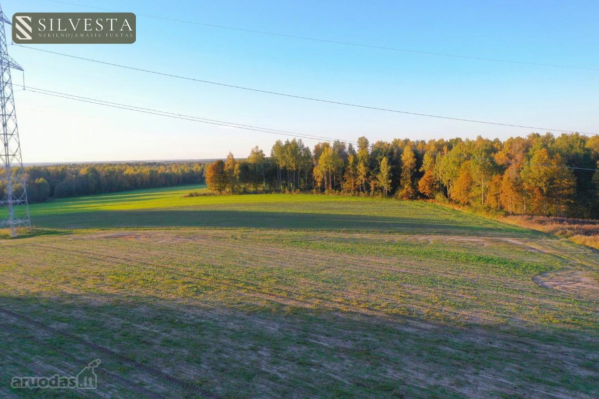 Parduodama sklypo dalis, Žybartonys, 211.6 a - nuotraukos Nr. 10