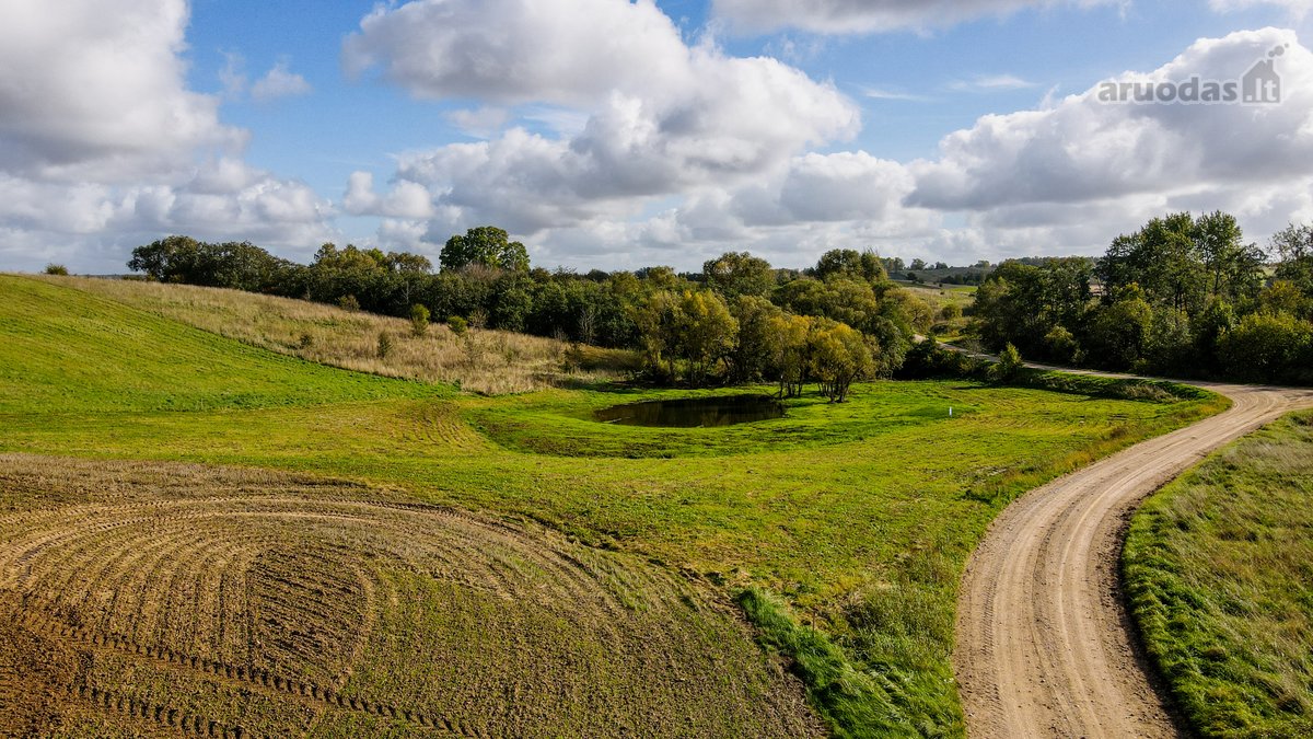 1,17 ha sutvarkytas sklypas poilsio sodybai - nuotraukos Nr. 5