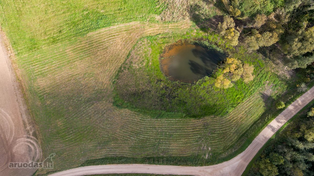 1,17 ha sutvarkytas sklypas poilsio sodybai - nuotraukos Nr. 10