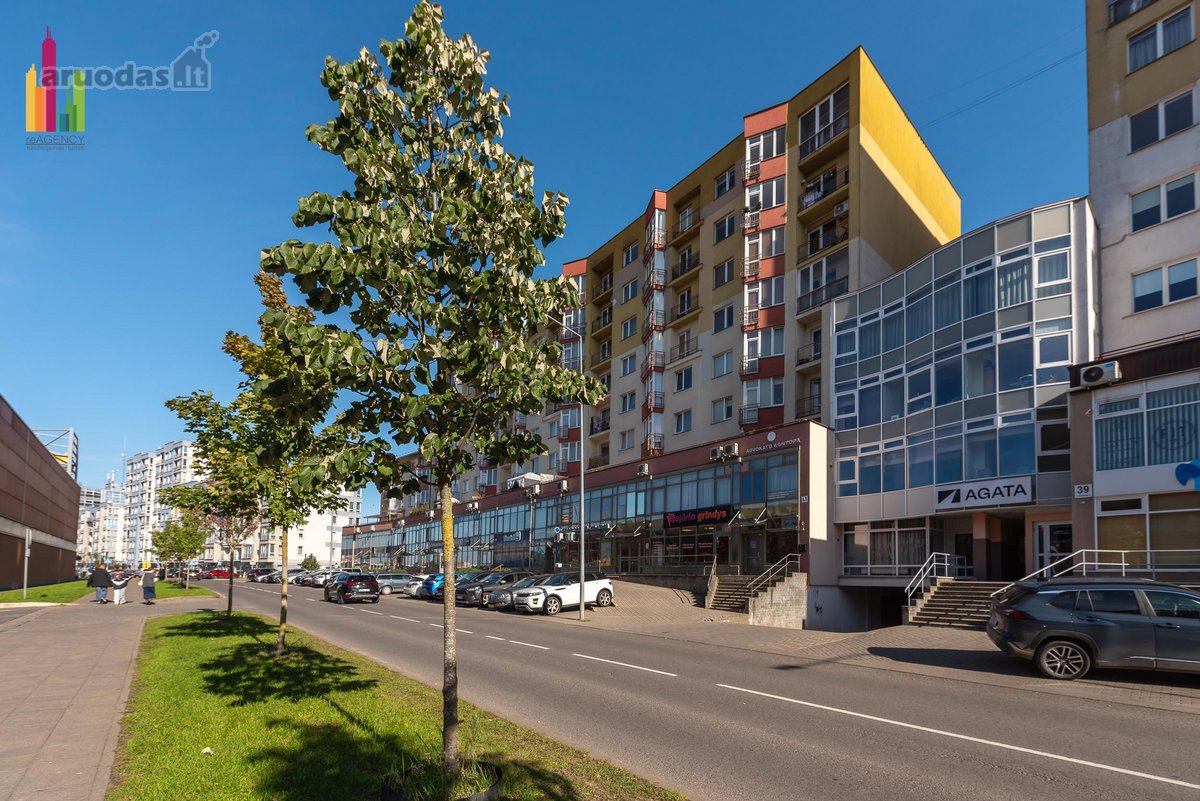 Šviesus 1 Kambario Butas Šiaurės Miestelyje, - nuotraukos Nr. 44