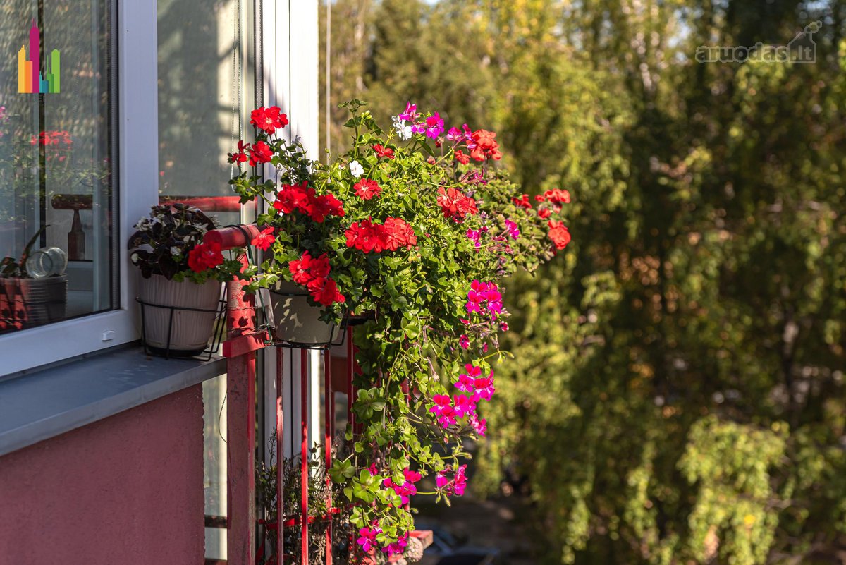 Šviesus 1 Kambario Butas Šiaurės Miestelyje, - nuotraukos Nr. 12