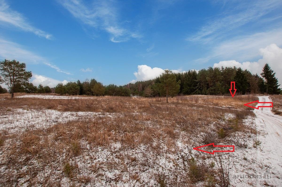 Parduodami 4 Sklypai 9 Km Nuo Trakų, Netoli - nuotraukos Nr. 12