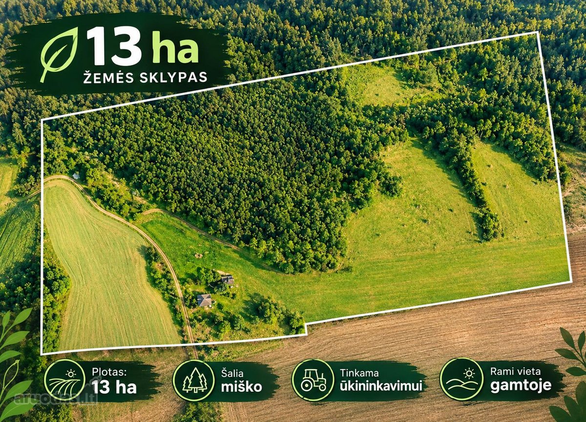 Parduodama sodyba ramiame vienkiemyje - nuotraukos Nr. 4