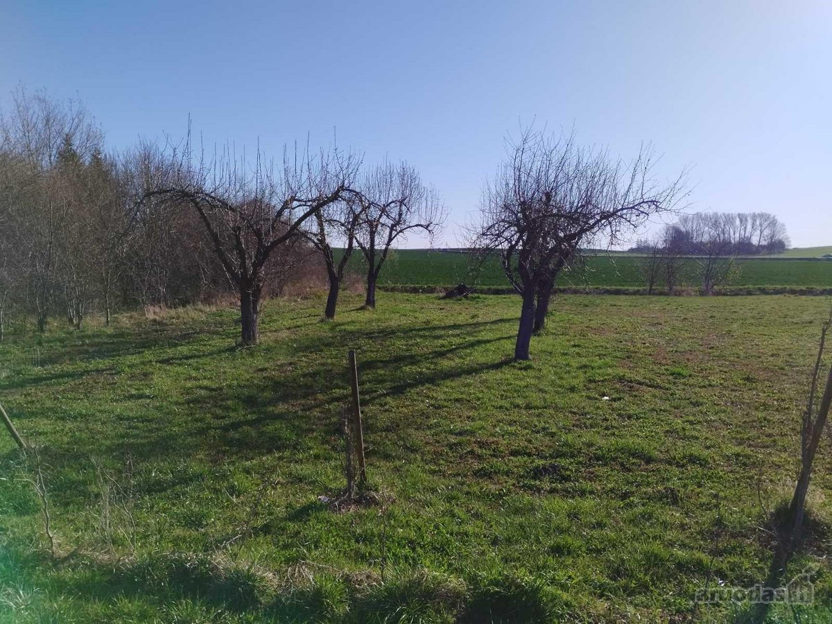 10arų Gulbiniškių Ąžuolų g. 28,30- 15t. - nuotraukos Nr. 12
