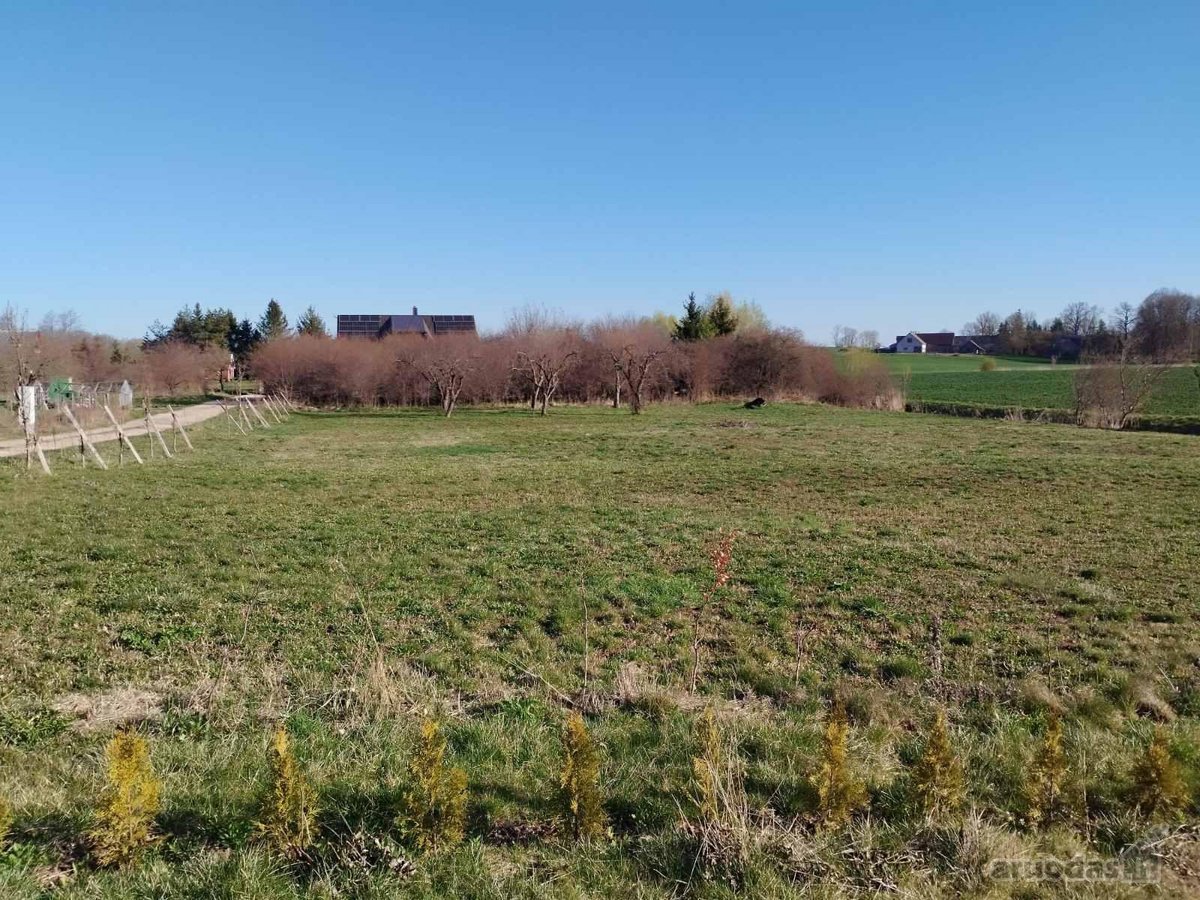10arų Gulbiniškių Ąžuolų g. 28,30- 15t. - nuotraukos Nr. 13