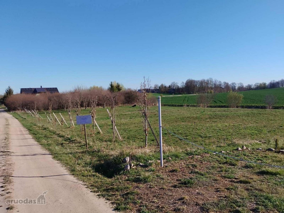 10arų Gulbiniškių Ąžuolų g. 28,30- 15t. - nuotraukos Nr. 14