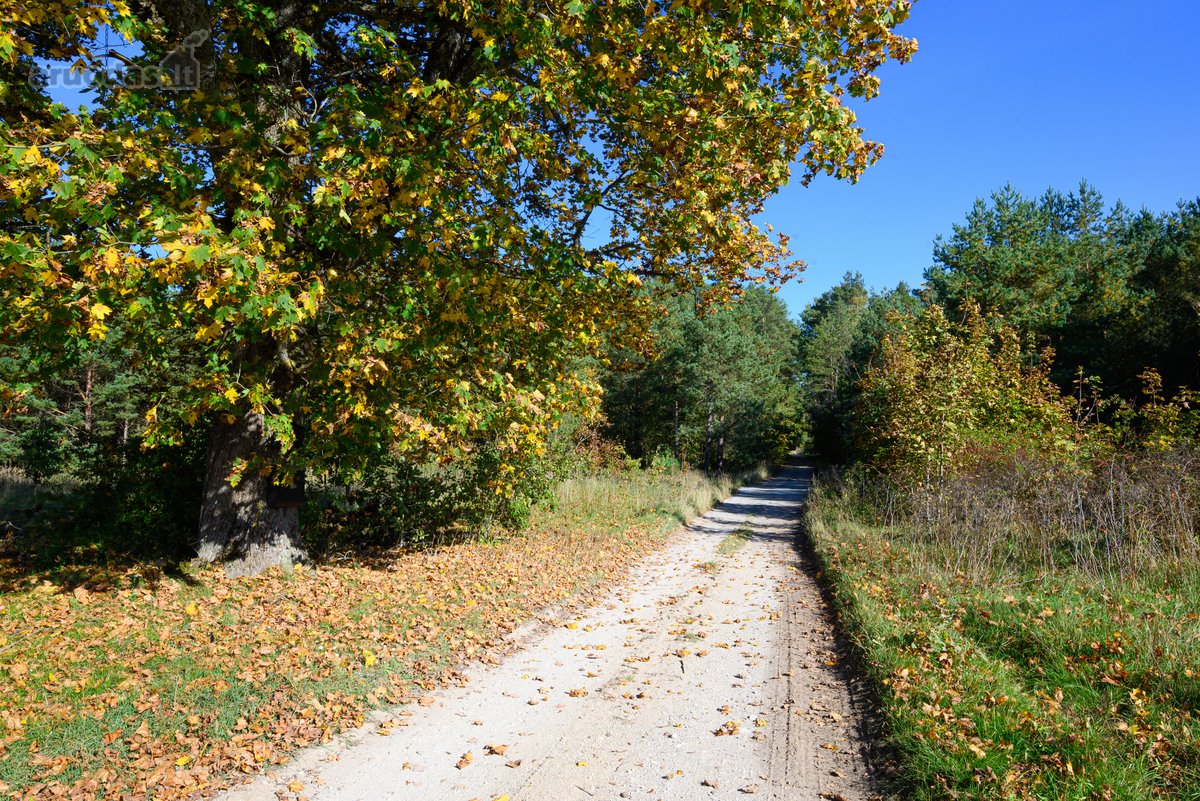 Jei ieškote naujų namų, kuriuose gamta, - nuotraukos Nr. 14