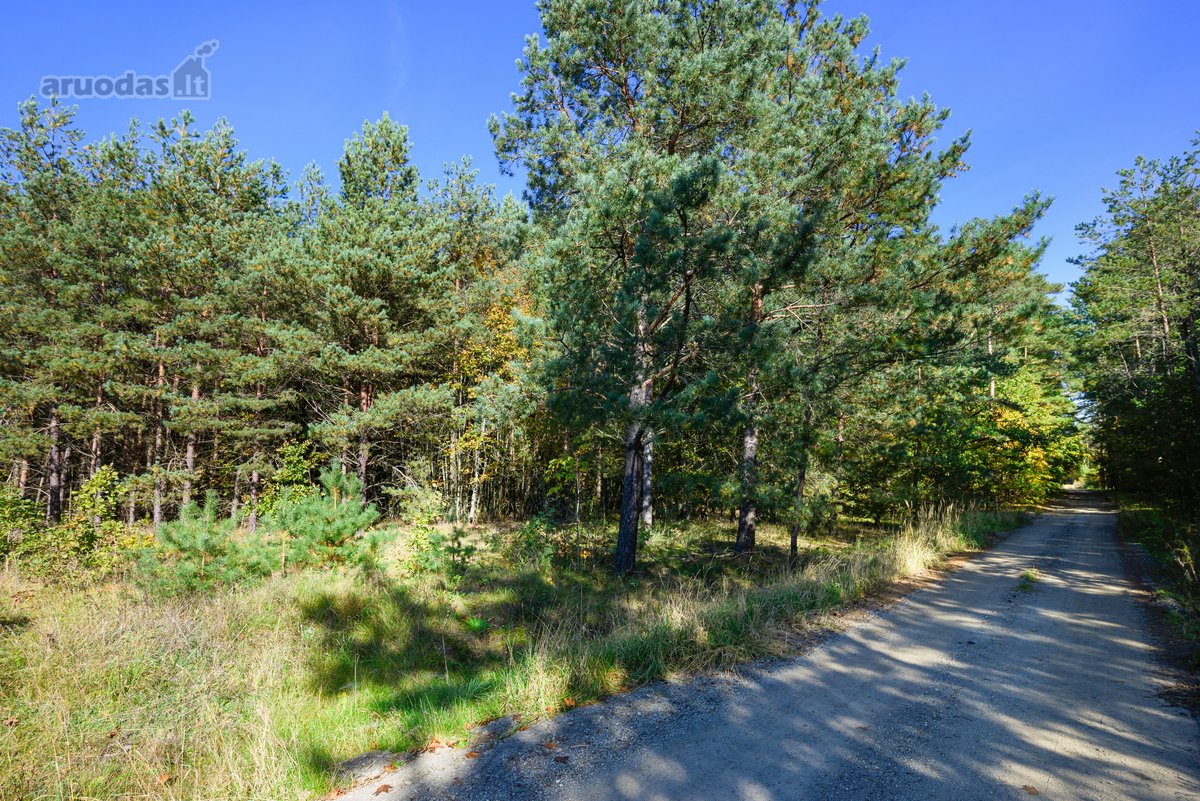 Jei ieškote naujų namų, kuriuose gamta, - nuotraukos Nr. 13