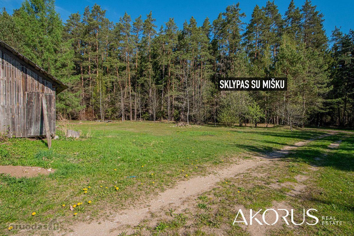 Verta Žinoti - nuotraukos Nr. 14
