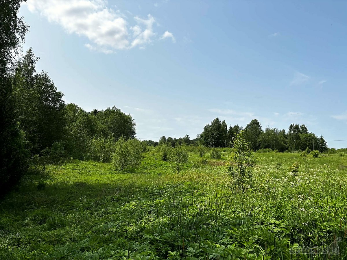  Parduodamas 10,15 ha sklypas su leidimu - nuotraukos Nr. 5
