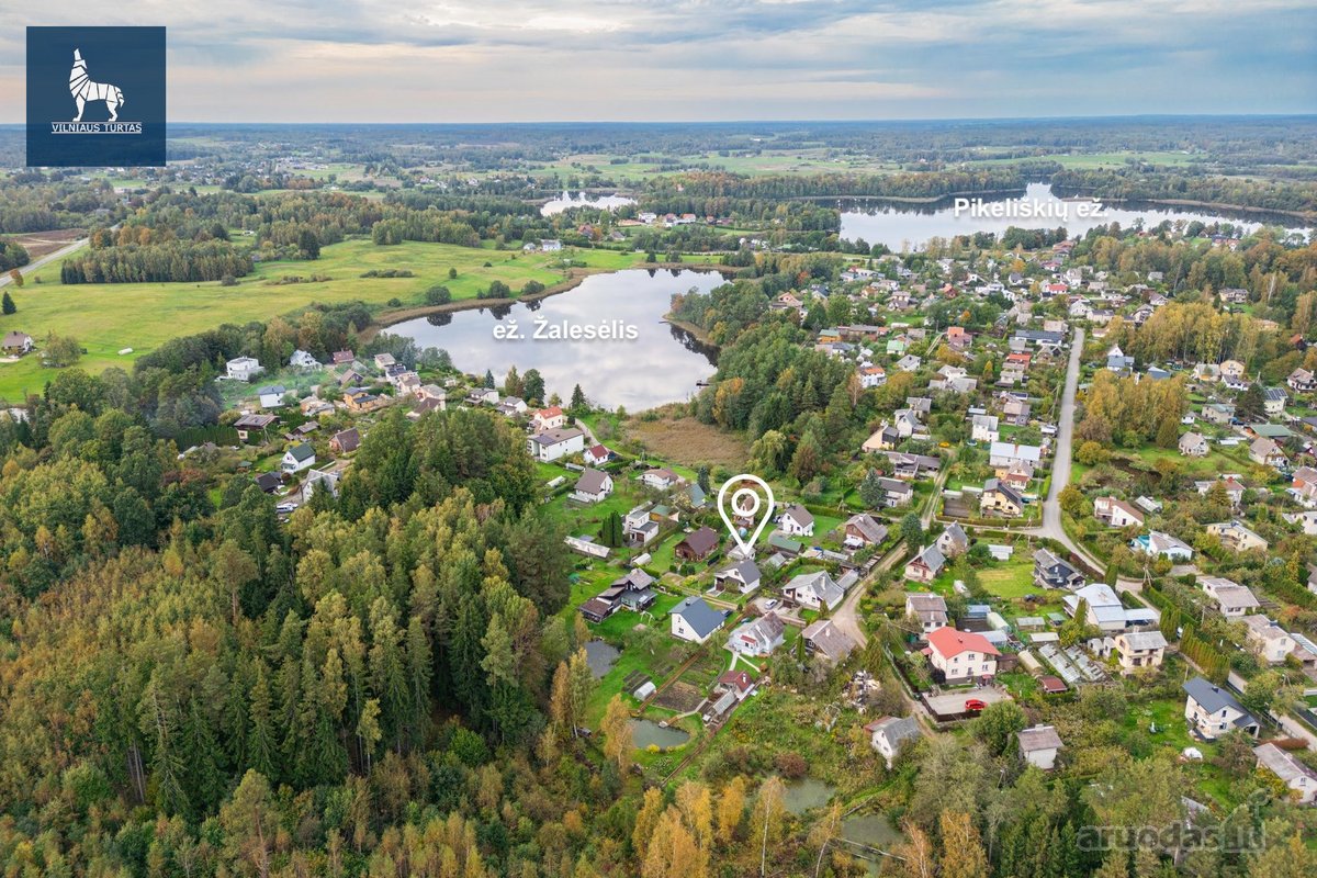 Žaleso ir Žalesėlio ežerų pašonėje, miško - nuotraukos Nr. 2