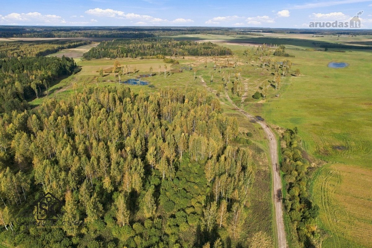 Parduodamas 26.8400 Ha Žemės Ūkio Paskirties - nuotraukos Nr. 4