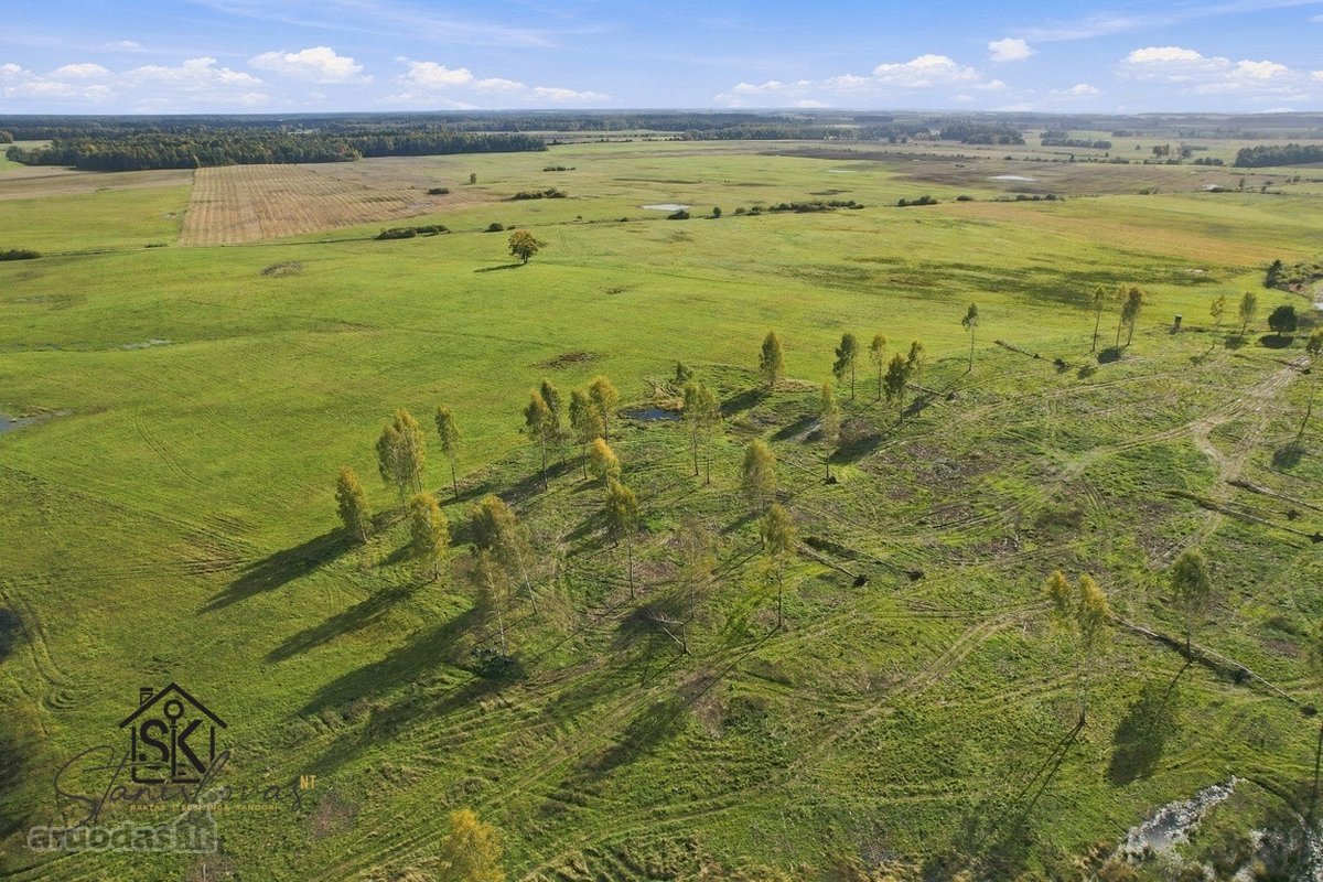 Parduodamas 26.8400 Ha Žemės Ūkio Paskirties - nuotraukos Nr. 5