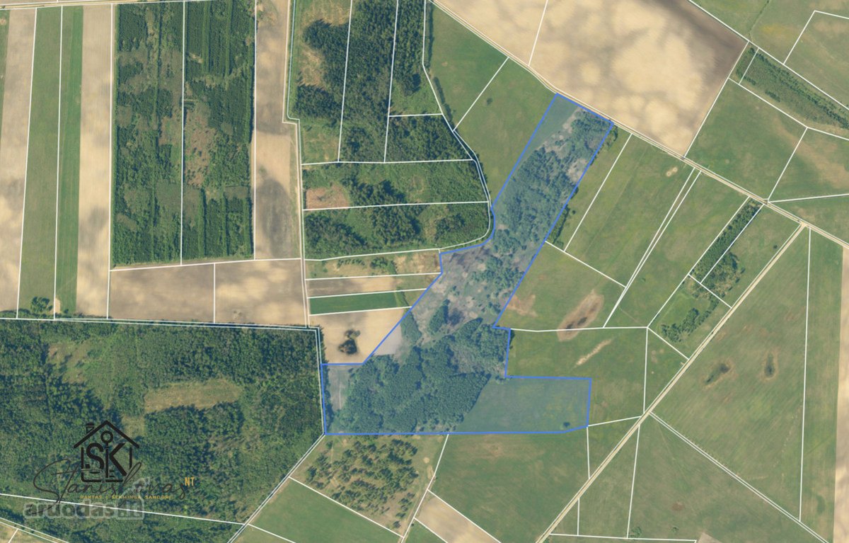 Parduodamas 26.8400 Ha Žemės Ūkio Paskirties - nuotraukos Nr. 15