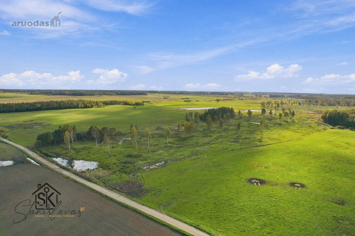 Parduodamas 26.8400 Ha Žemės Ūkio Paskirties - nuotraukos Nr. 7