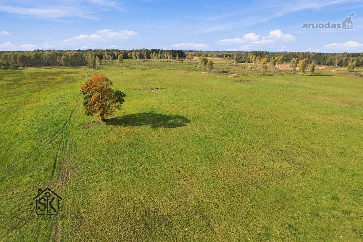 Parduodamas 26.8400 Ha Žemės Ūkio Paskirties - nuotraukos Nr. 11