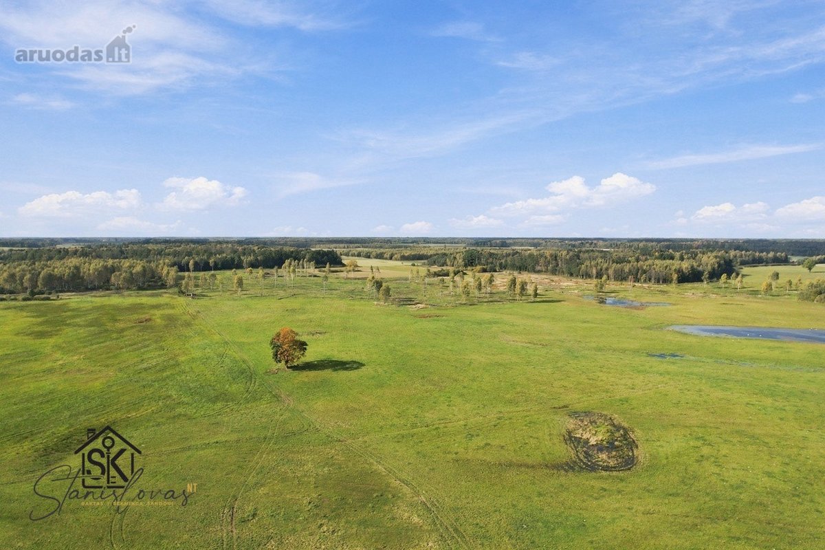 Parduodamas 26.8400 Ha Žemės Ūkio Paskirties - nuotraukos Nr. 12