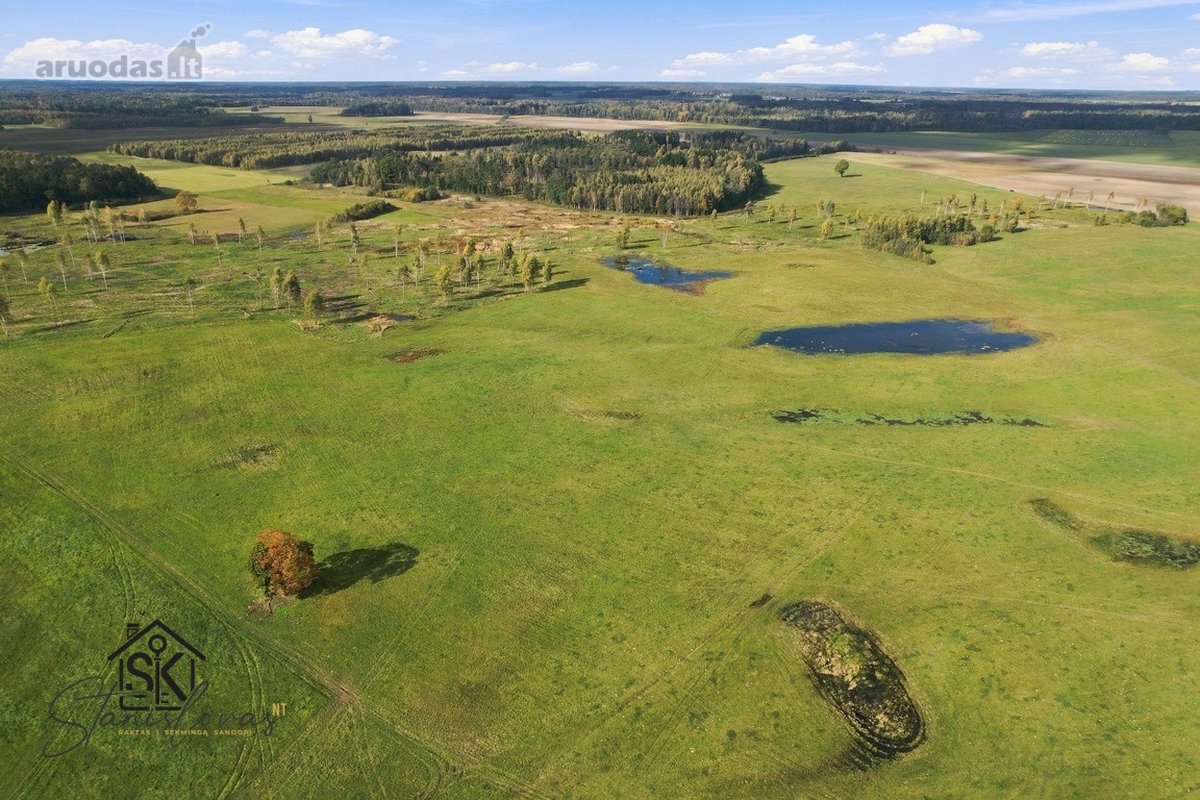 Parduodamas 26.8400 Ha Žemės Ūkio Paskirties - nuotraukos Nr. 13