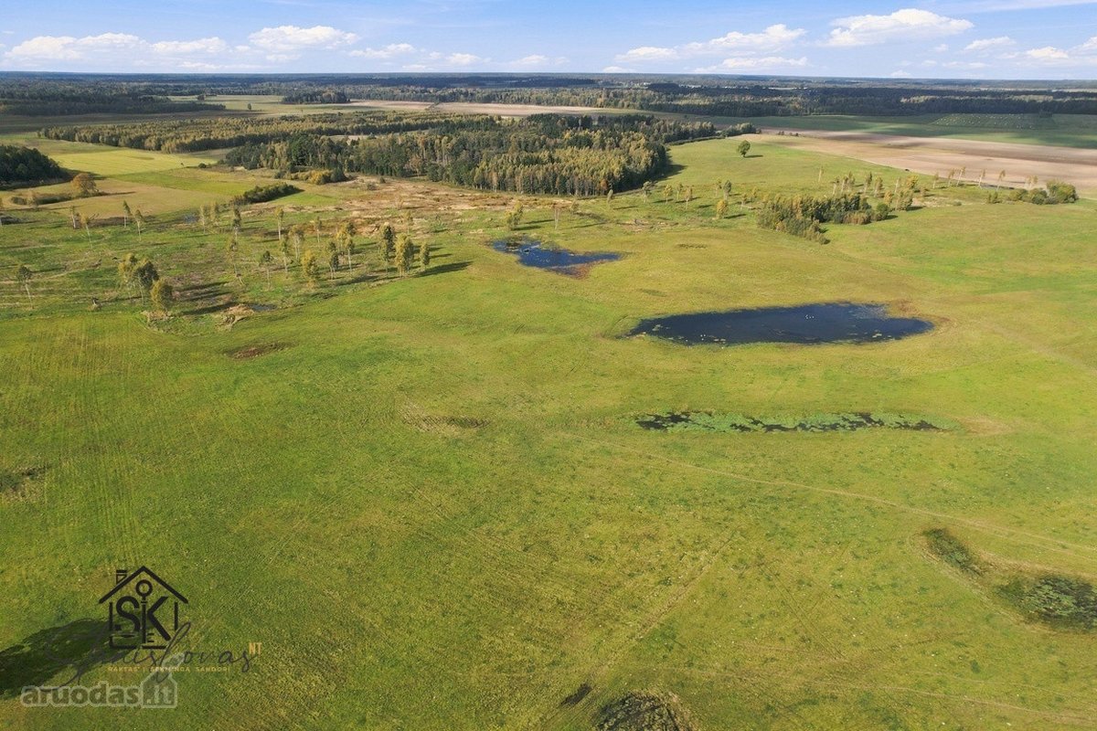 Parduodamas 26.8400 Ha Žemės Ūkio Paskirties - nuotraukos Nr. 14