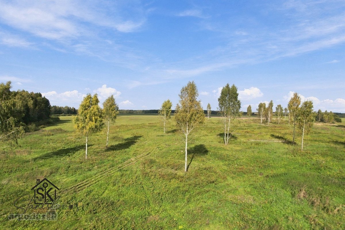 Parduodamas 26.8400 Ha Žemės Ūkio Paskirties - nuotraukos Nr. 19