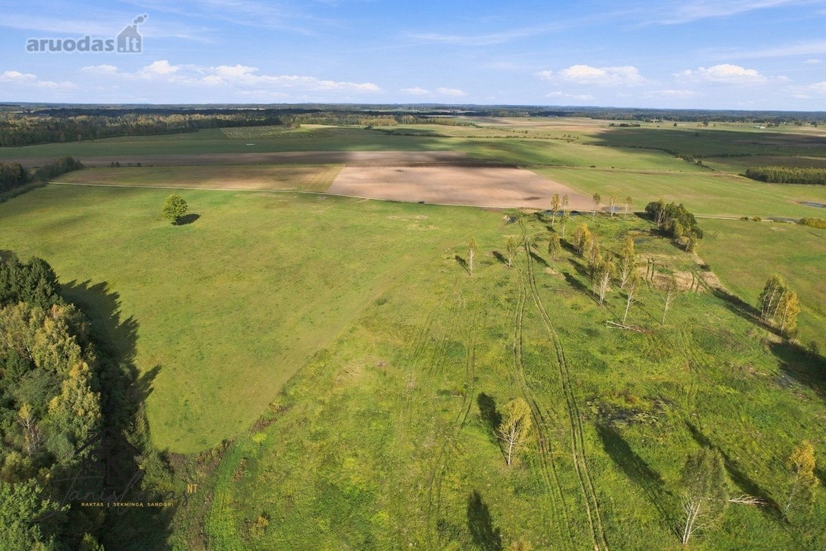 Parduodamas 26.8400 Ha Žemės Ūkio Paskirties - nuotraukos Nr. 20