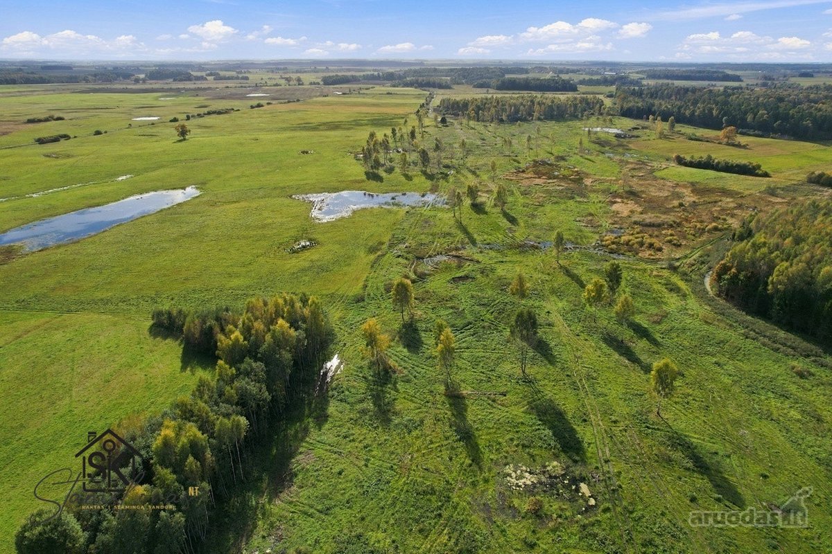 Parduodamas 26.8400 Ha Žemės Ūkio Paskirties - nuotraukos Nr. 23