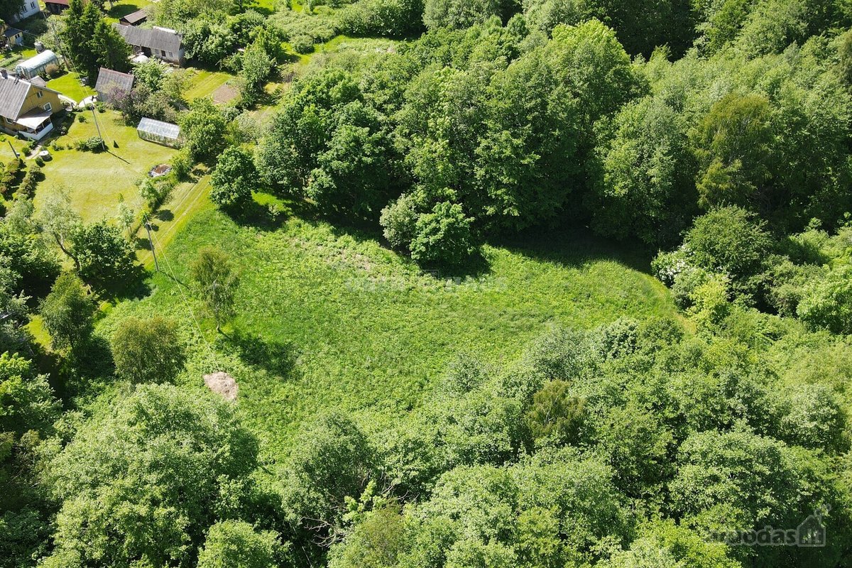 Graži 2500/20000 dalis žemės sklypo šalia - nuotraukos Nr. 3
