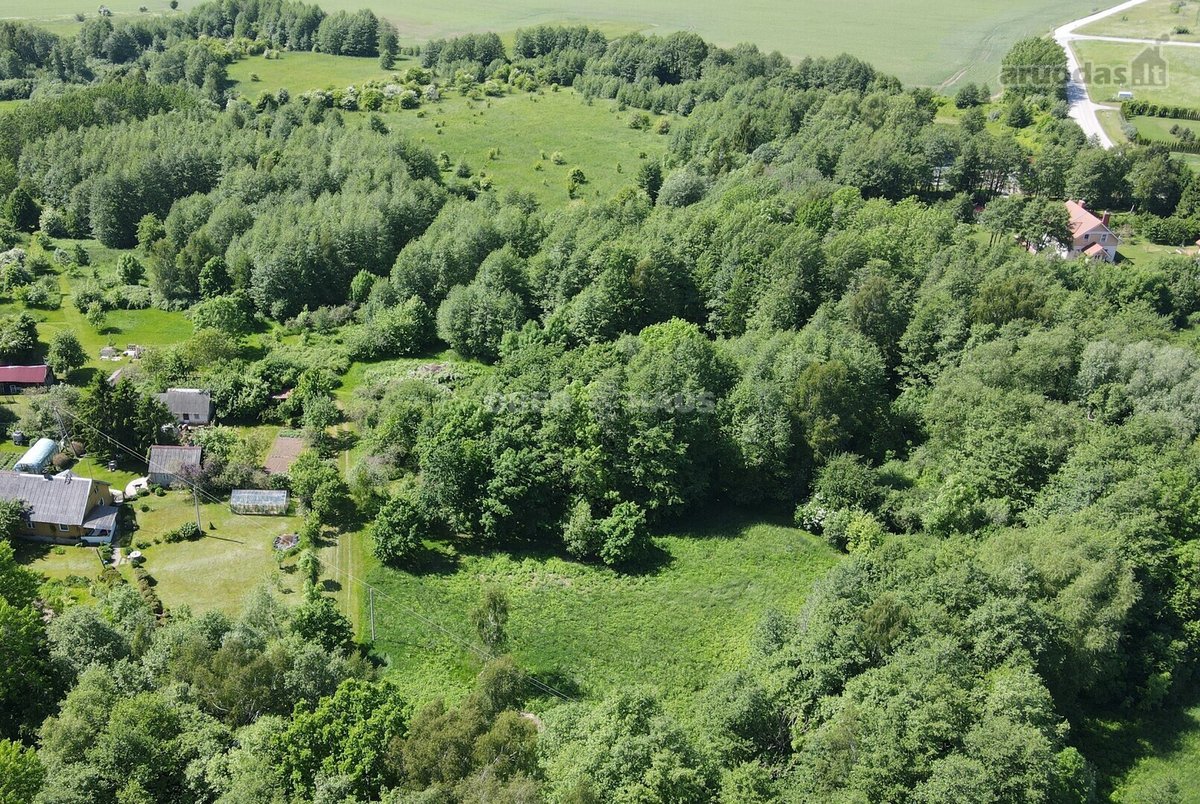 Graži 2500/20000 dalis žemės sklypo šalia - nuotraukos Nr. 10