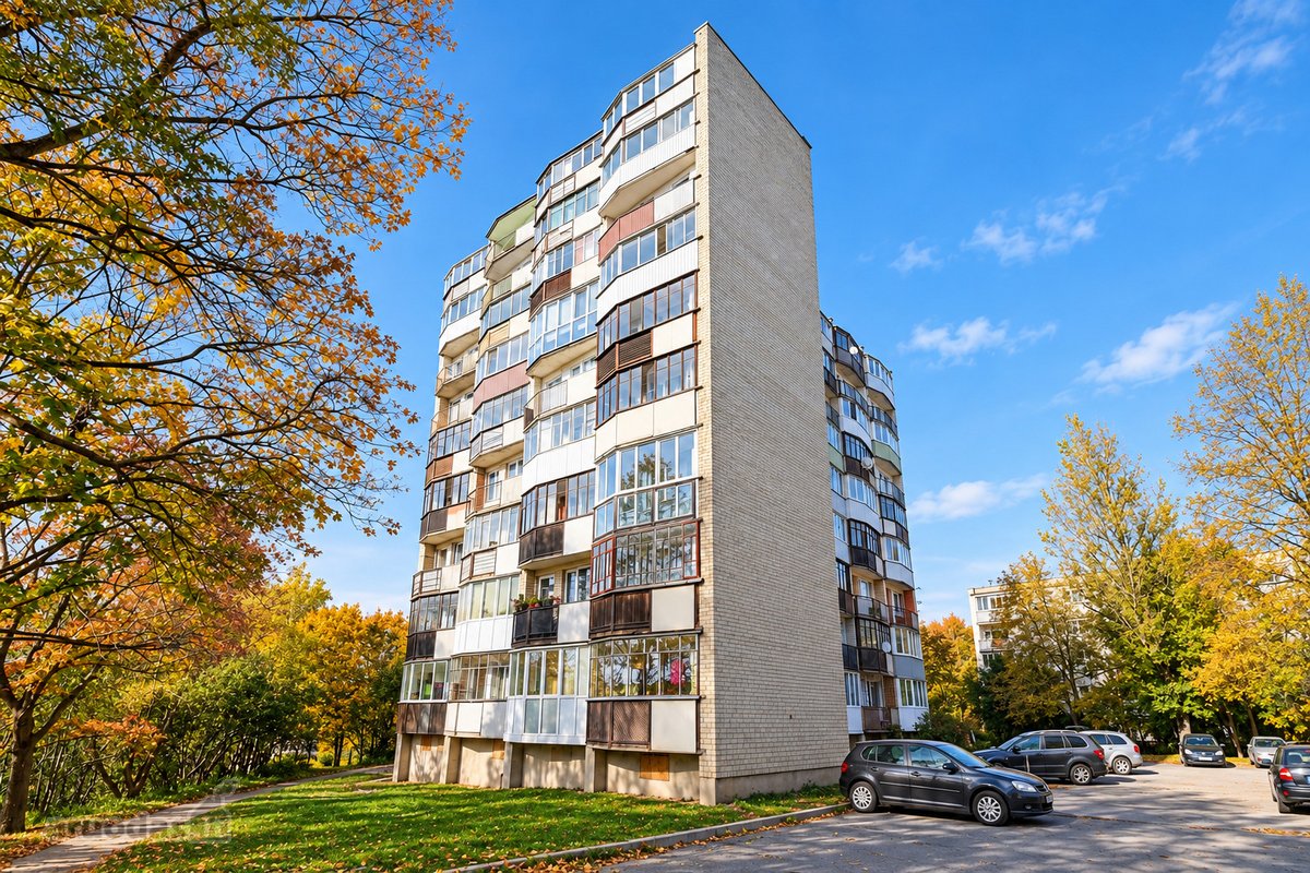 **Jaukus Ir Šiltas 1 Kambario Butas Šalia - nuotraukos Nr. 11