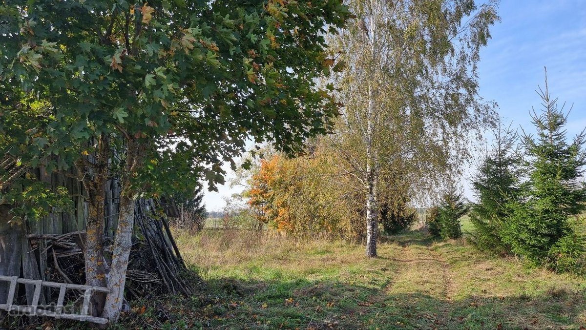 Parduodama sodyba su 1,8 ha sklypu Ukmergės r - nuotraukos Nr. 3